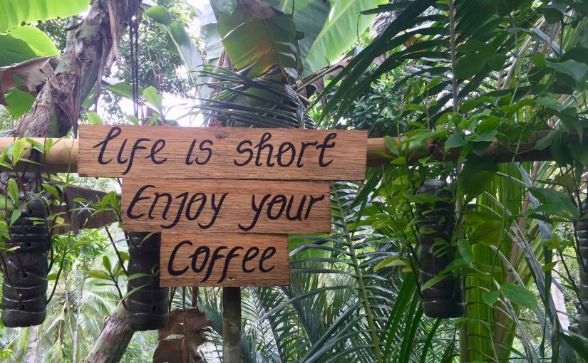 An expensive load of bull•shit – or should I say,&nbsp;cat•poo?